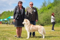 Wystawa Sami Uniejów CACIB 9.05.2026